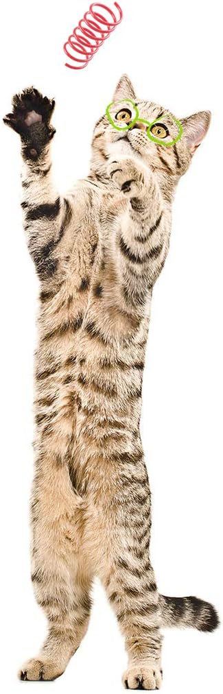Tamu style Cat Spring Toys (30 Pack), Plastic Coils for Indoor Active Healthy Play, Colorful 2 Inch Spirals : Pet Supplies