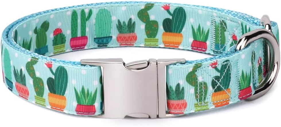 succulent dog collar