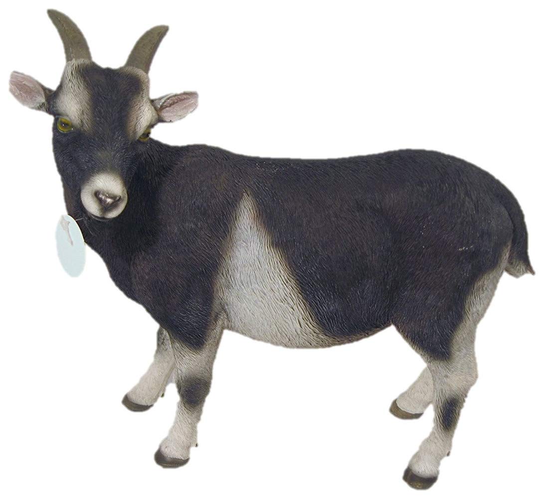 Goat Real Life Resin Ornament Small by Vivid Arts