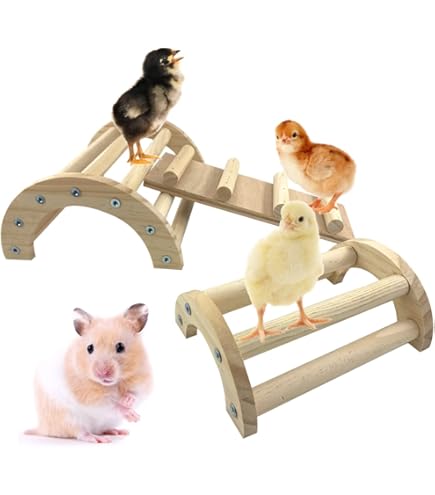 Percha De Madera De Pino Para Pollos – Juguete Y Accesorio Para Gallinero E Incubadora (1 Unidad)