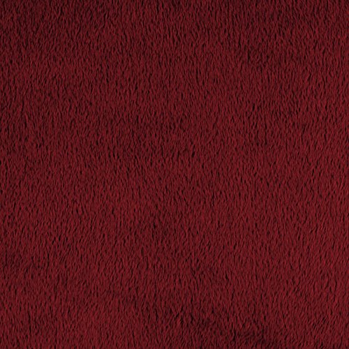 Sunbeam Reversible Sherpa/Mink Heated Throw Blanket with EliteStyle II Controller, Premium Soft Super Warm Plush Electric Throw Blanket, Garnet Red collection of cool unique weird amazon gift items