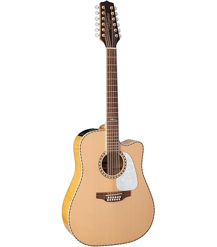 Amazon.com: Takamine GD74CE 12-string Left-handed Acoustic
