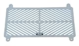 R&G Stainless Steel Radiator Guard for Ninja 650