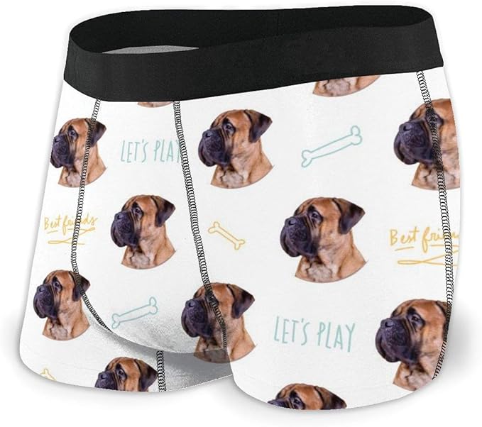 english mastiff boxers