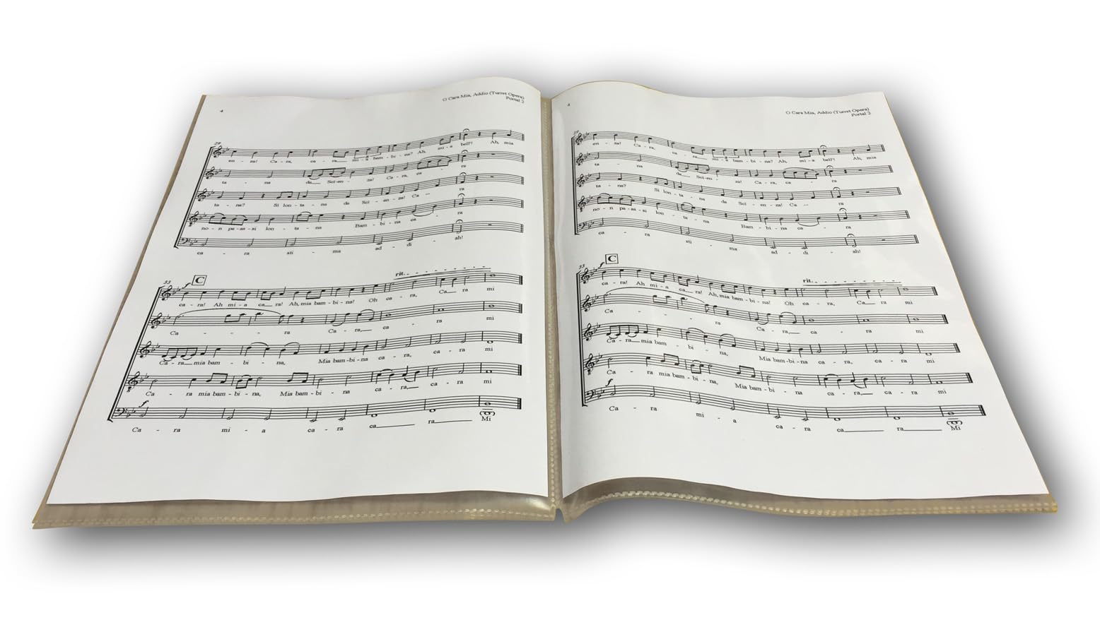 Choir Folder Sleeves (Pack of 5)