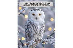 Sketch Book for Owl lovers: for all Owl and magic lovers, adults and Kids - fun time drawing with the unique sketch book, gre