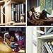 AMIR Rechargeable 16 LED Book Light, Clip on Reading Light, Flexible Desk Lamp with Touch Switch, 3 Levels Brightness Eye-Care, up to 8 Hours Reading. Perfect for Bookworms & Kids (White)