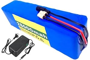 48V 28Ah E-Bike-Akku, austauschbarer Akku 13S3P, wasserdichter Hochleistungsakku mit Ladegerät für 200W-1000W Motoren 48V 28A