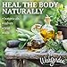 WishGarden Herbs - AfterBirth Sitzbath, New Mother's Healing Respite, Organic Herbal Tincture, Post-Birth Soother (3.5 oz)