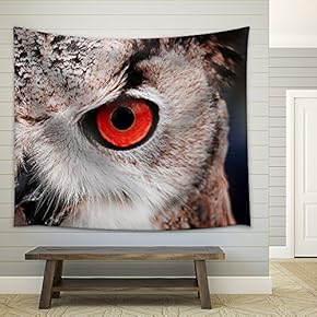 Closeup of an Owl with Red Eyes - Fabric Wall Tapestry Home Decor - 51x60 inches