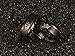 Funlife Home Couples Rings His or Hers Matching Set Titanium Wedding Engagement Bands Comfort fit 8mm