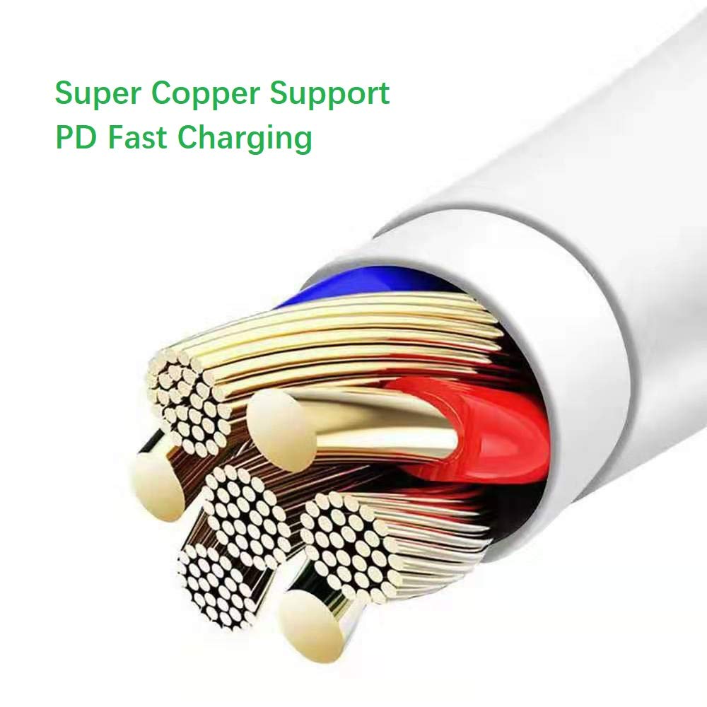 Gin FOXI USB C to Lightning Cable [2 Pack 3.3ft MFi Certified] Fast Charging (with Type C PD Ac Adapter) Compatible with iPhone 8/8 Plus/X/XS/XR/XS Max