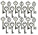 Salome Idea 30PCS Assorted Antique Skeleton Keys, Vintage Steampunk Keys, Juliet Collection (Bronze)