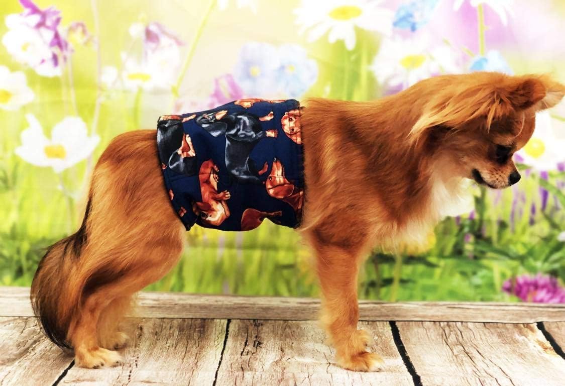 best dog diapers for dachshunds