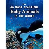 The 40 Most Beautiful Baby Animals in the World: A full color picture book for Seniors with Alzheimer's or Dementia (The "Most Beautiful World" Series)