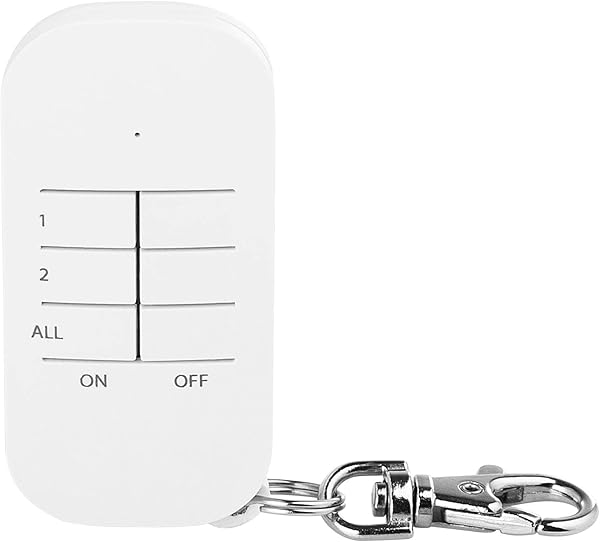 Smartwares SH4 99574   Juego de interruptores de enchufe para interior Plug Connect 2 enchufes inteligentes mando a distancia con llavero