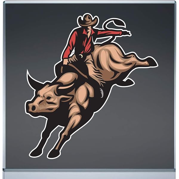Calcomanías Para Coche Bull Rider Parking Only Funny Sticker 10 Pcs