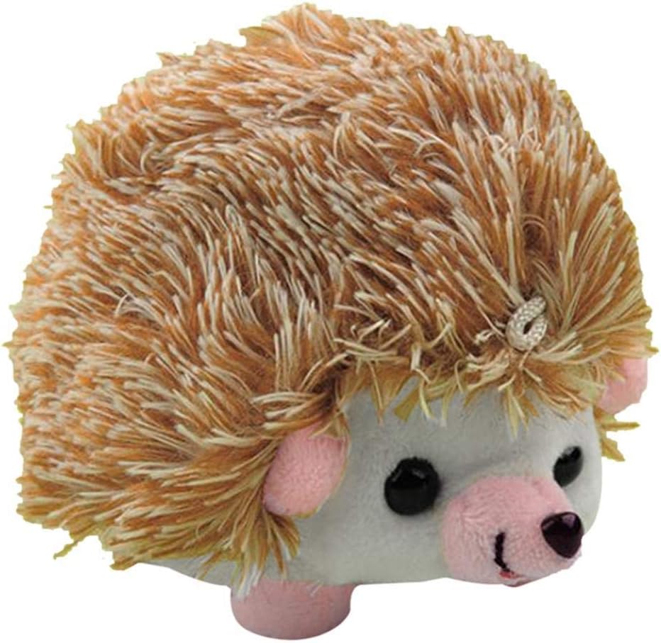 hedgehog supplies store