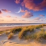 Image de Moon (171016)