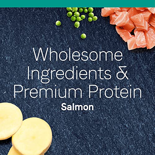 Canidae Pure Limited Ingredient Premium Dry Cat Food, Real Salmon