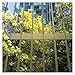 BDF S05 Window Film Daytime Privacy and Heat Control Mirror Silver 5 (Very Dark) - 12in X 24ft