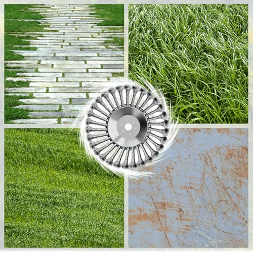 Professional Weed Brush Cutter, Universal Wild Herb Brush for Brush Cutters, 25.4 mm Bore, Wire Brush Cutter, Weed Brush for Brush Cutter with Weed Brush, Robust and Durable (8 Inches)