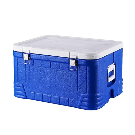 Ambiguity Nevera Camping,Plástico para Llevar alimentación Caja ...