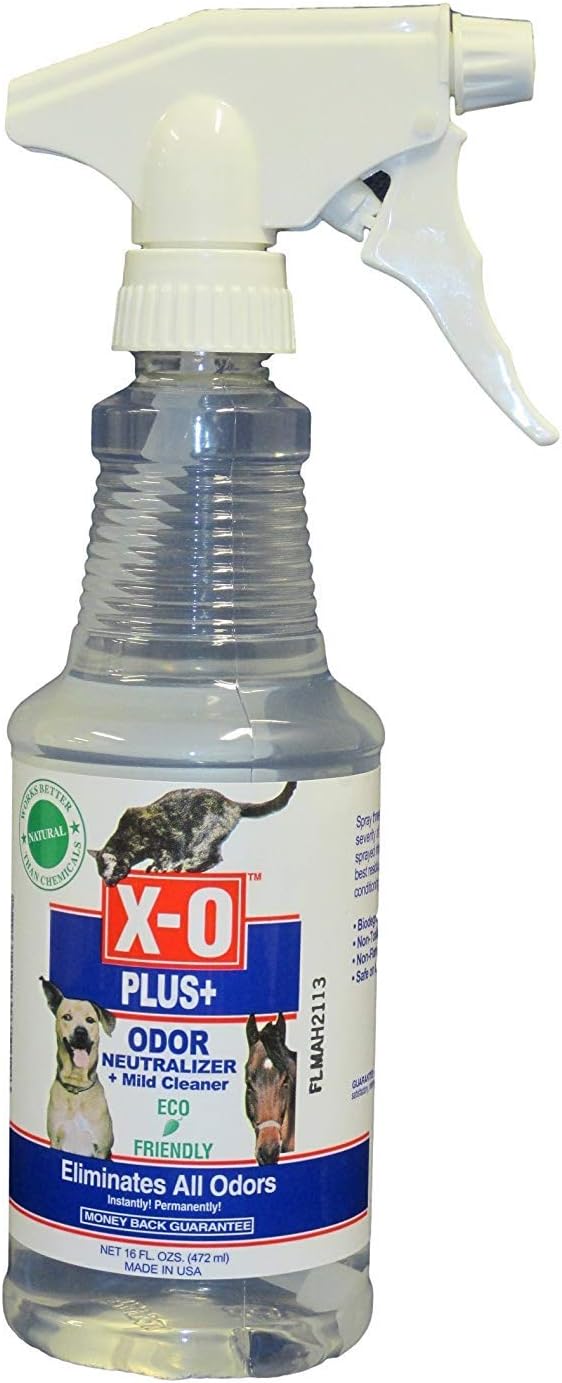 Best peroxide vinegar carpet cleaner The Best Home