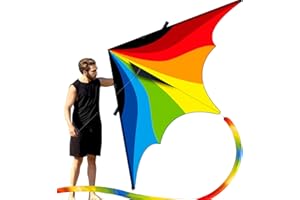 Doinfly Triangular-Shaped Kite - Easy to Control, with an Eye-catching Design, it is Perfect for Outdoor Entertainment and Suitable for Beginners to use.
