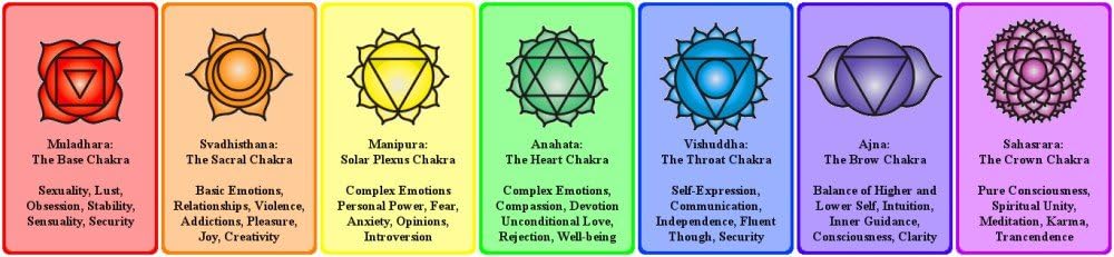 Vinteja Charts of Chakra Print A3 Poster (Multicolour)