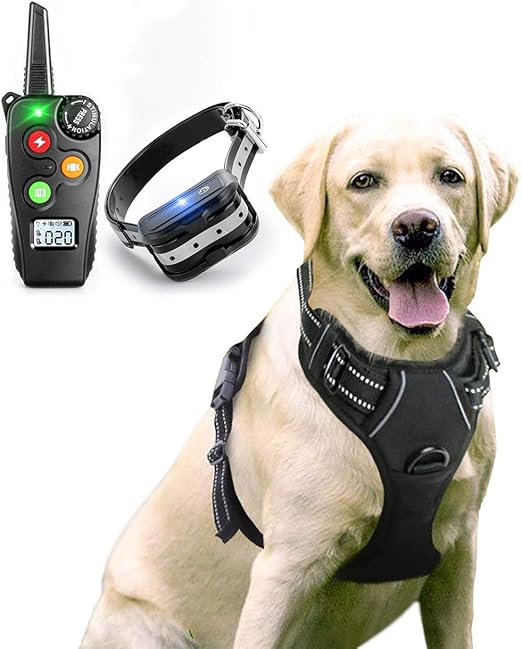 no pull training collar