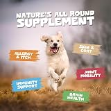 Pets Purest Scottish Salmon Oil for Dogs Cats Horses 1000ml view 5