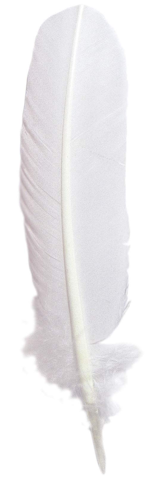 Jacques Herbin 23101T - Quill pen 28 cm white X 10