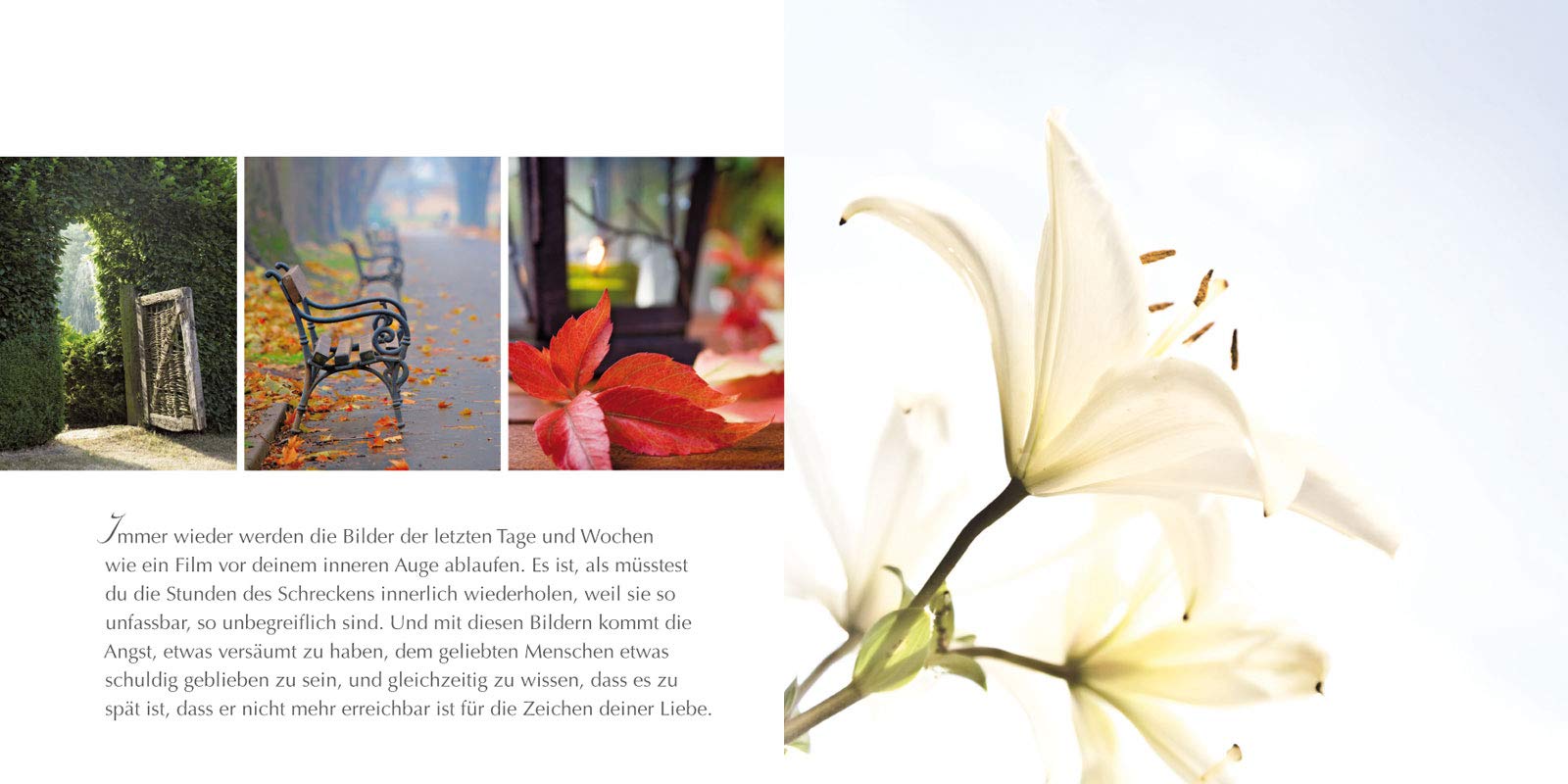 Zwischen Angst Und Vertrauen Gedanken Fur Trauernde Amazon De Naegeli Antje Sabine Bucher