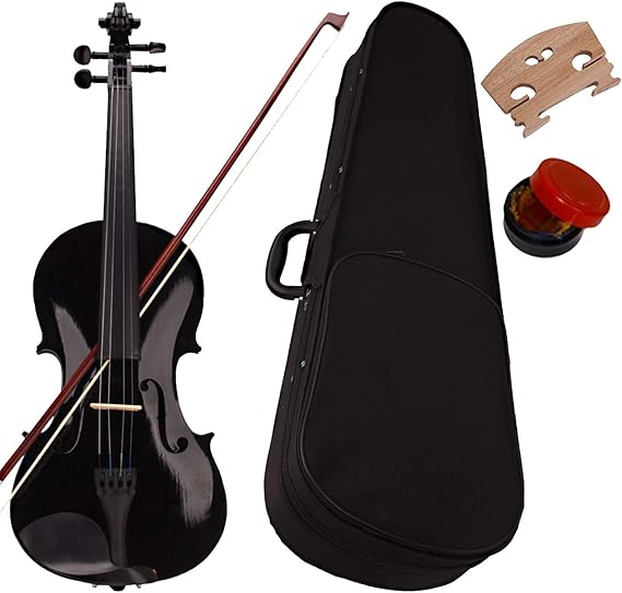 Full Size 4/4 Acoustic Violin Set,Beginner Violin Vintage