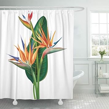 Amazon Com Emvency Decorative Shower Curtain Colorful Tropic