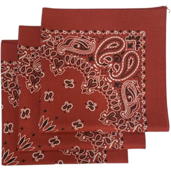 Torna A Splendere Il Delicato Cromatismo Della Pala Di Santa Lucia Dei Magnoli, Capolavoro Di - Foto 9