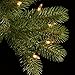 National Tree Company Pre-lit 'Feel Real' Artificial Full Downswept Christmas Tree, Green, Douglas Fir, Dual Color LED Lights, Includes Stand, 9 feet