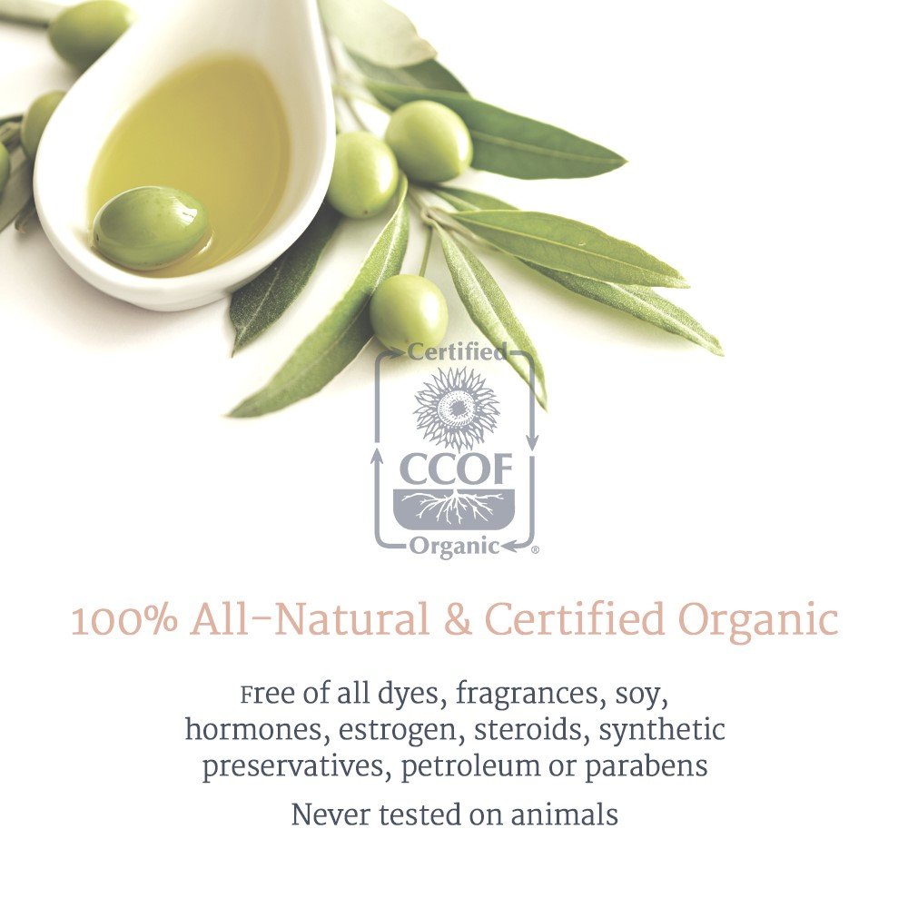 Medicine Mama's Apothecary Vmagic Organic Vulva Cream vaginal moisturizer - Relieves dryness, itching, burning, redness, and chaffing - Feminine Care - Estrogen Free (2oz) : Health And Personal Care : Beauty
