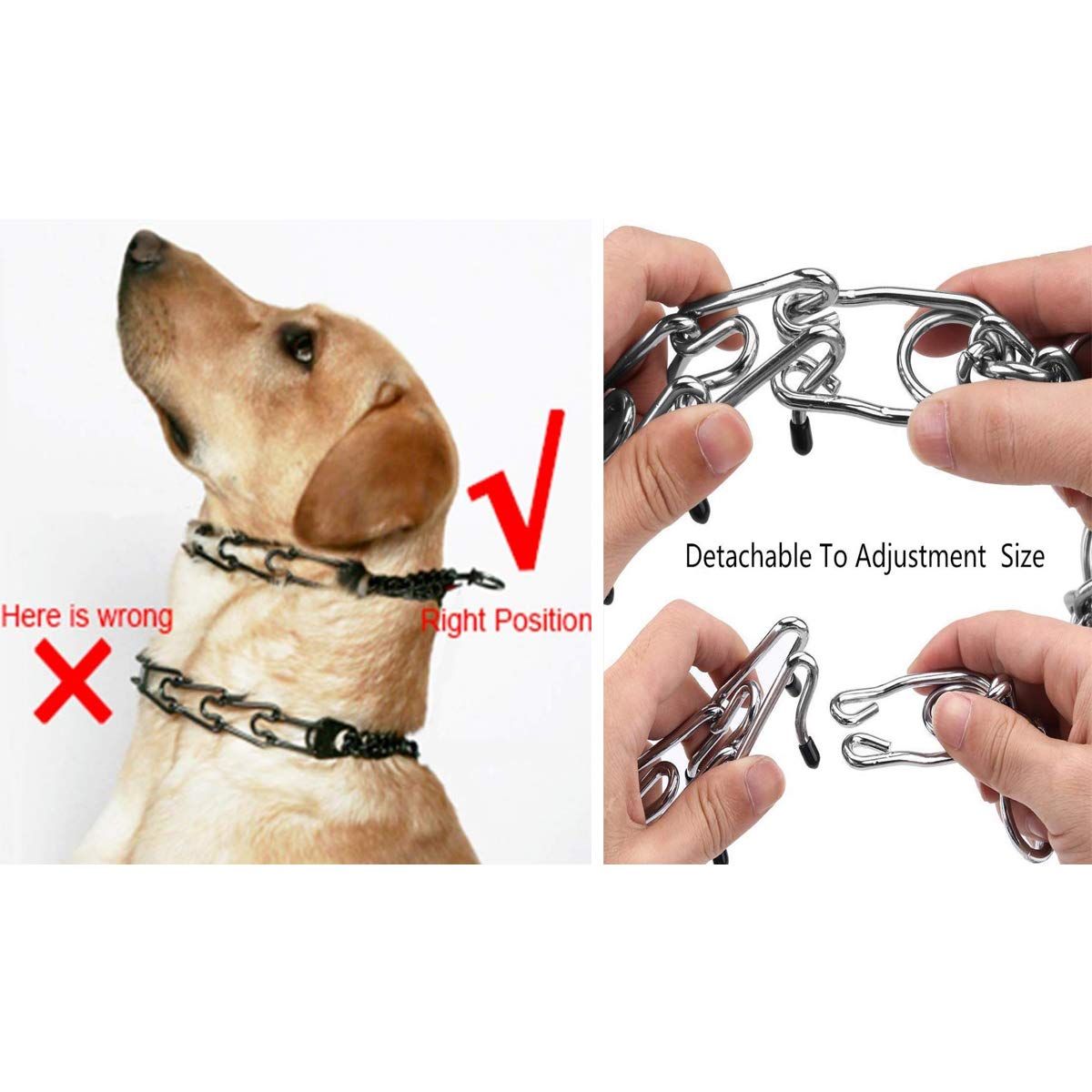 prong collar training tips