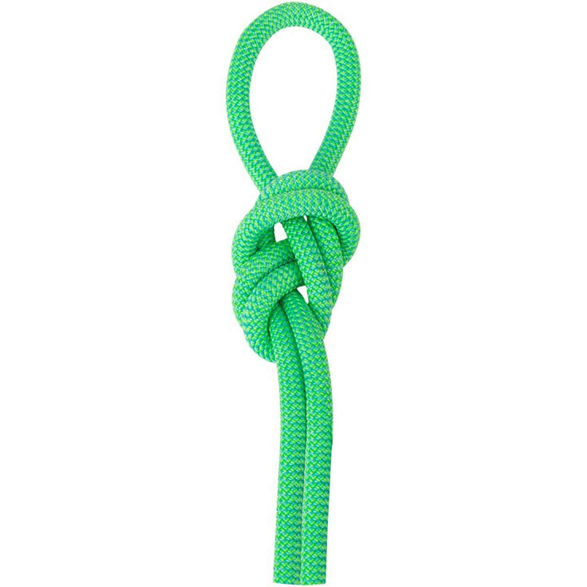 Salewa Speed Queen 9,1 Mm Rope, Green/Blue, 80, Unisex