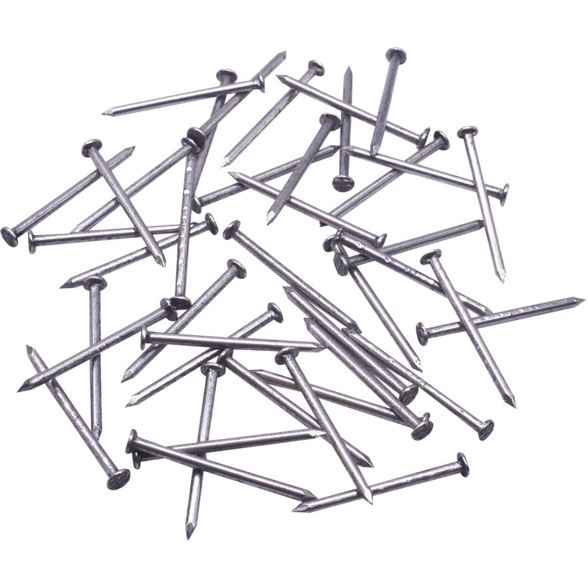 SKIR'CO (400 pcs) Steel 1.6 x 25 mm Construction Nails, Flat Round Head, Multi-Purpose Common Wire Nails for Wood