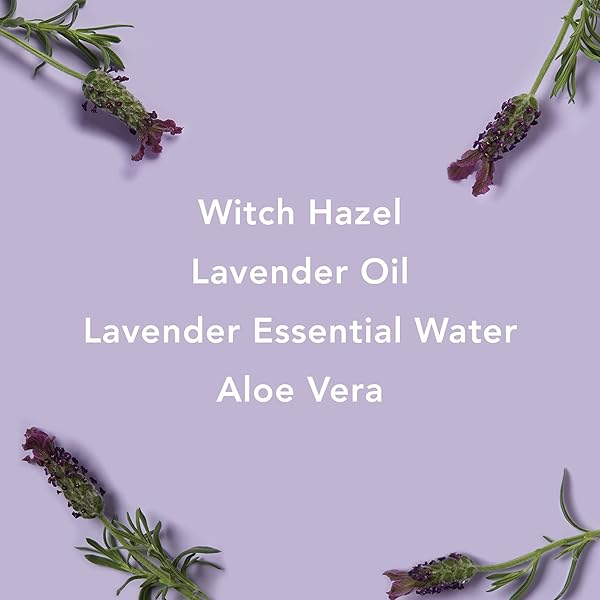 MARIO BADESCU ALCOHOL FREE WITCH HAZEL AND LAVENDER FACIAL TONER FOR AGING SKIN, INFUSED WITH ALOE VERA, FACE TONER FOR COMBINATION OR DRY SKIN, 8 FL OZ