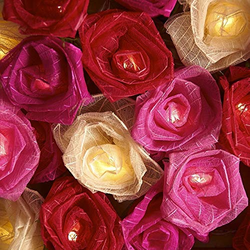 Blaze On Cabbage Rose Fairy Lights (Pink Tones) – 20 Warm White LED Handcrafted Roses – USB Powered with UK 3-Pin Adapter – Indoor Decorative String Lights