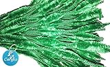 Caryko Fuzzy Bump Chenille Stems Pipe Cleaners, Pack of 100 (Green)