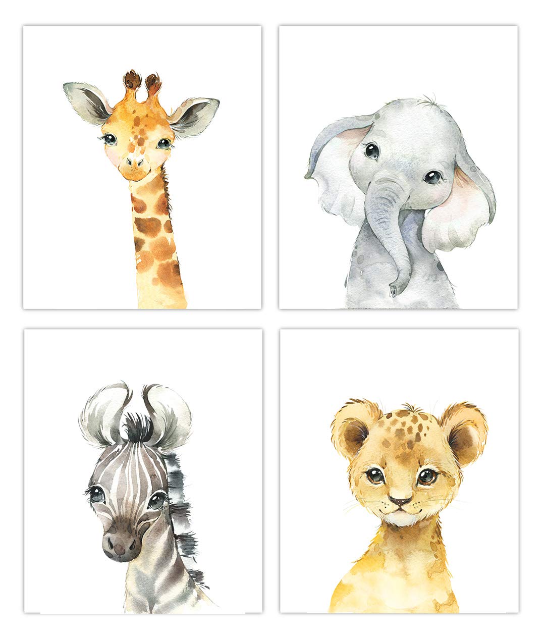 Mua Little Baby Watercolor Animals 