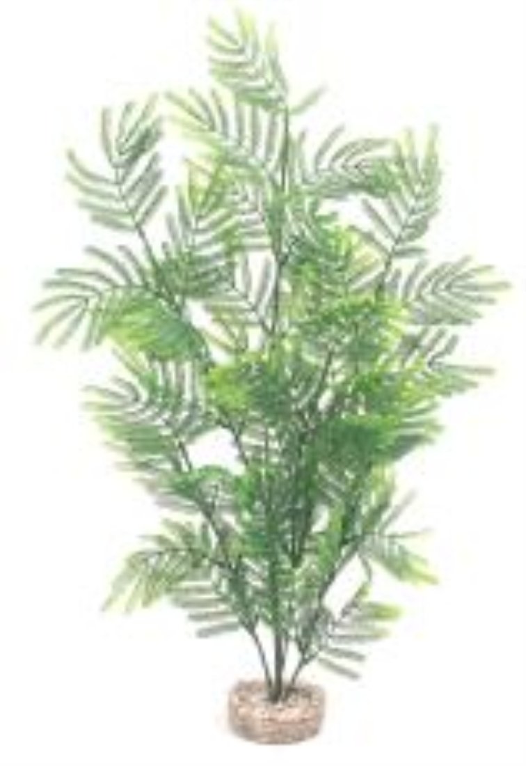 Sydeco Feather Fern Maxi, 50 cm