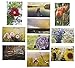 20 Postcards - Christian Scripture Inspirational Bible Verses - Floral Glossy Photographic Designs - 4 x 6 Inches