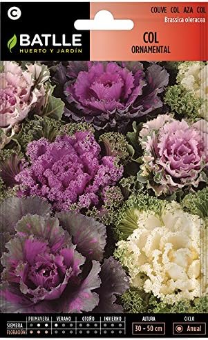 Semillas Hortícolas - Col ornamental variada - Batlle: Amazon.es ...