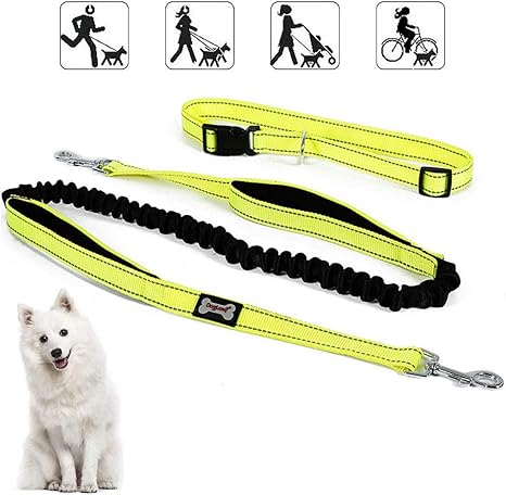 Correa Perro Manos Libres, Nylon Antichoque Correas para Perros Grande y Mediano, Dog Leash Elástico Long 1,5 m - 2 m, Cinturón de Cintura Ajustable, ...